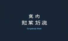 如何用Snagit创建截图测试用例?
