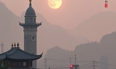 截图软件如何识别手语动作?有哪些方法和工具?